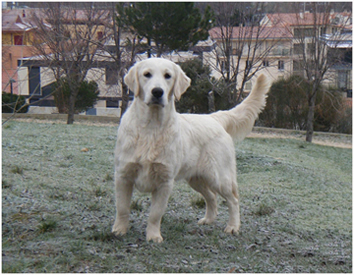 Lola 9 Meses
